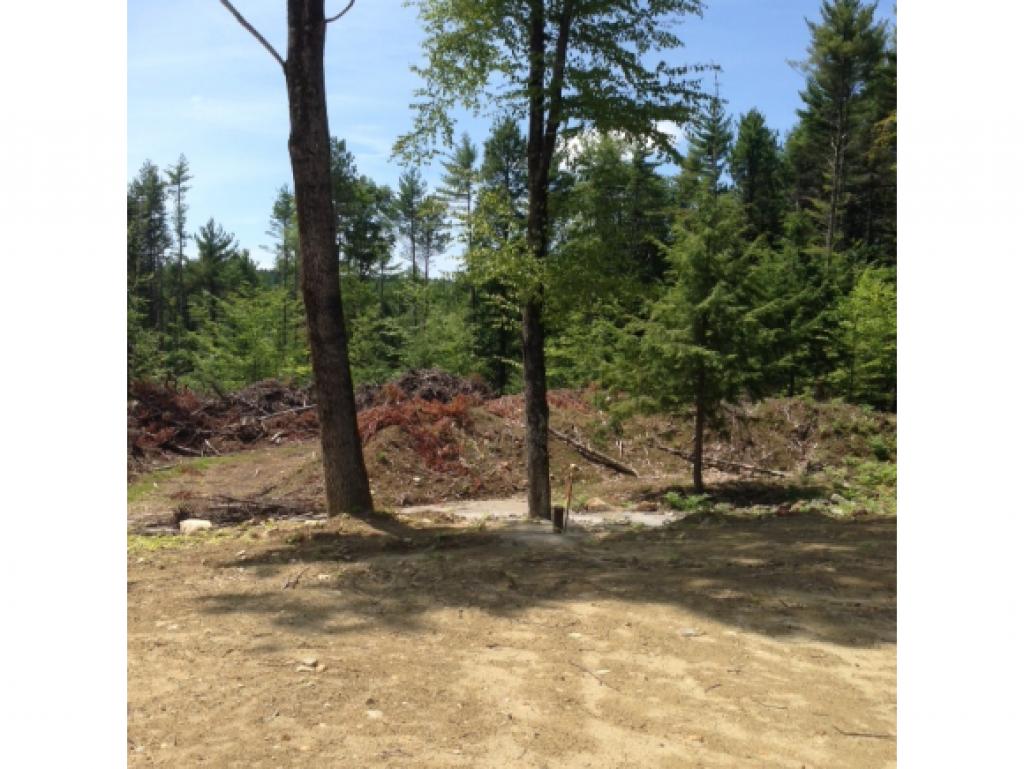 408-157.2 Brown Ridge Road Hillsborough, NH 03244 - Photo 5 of 18