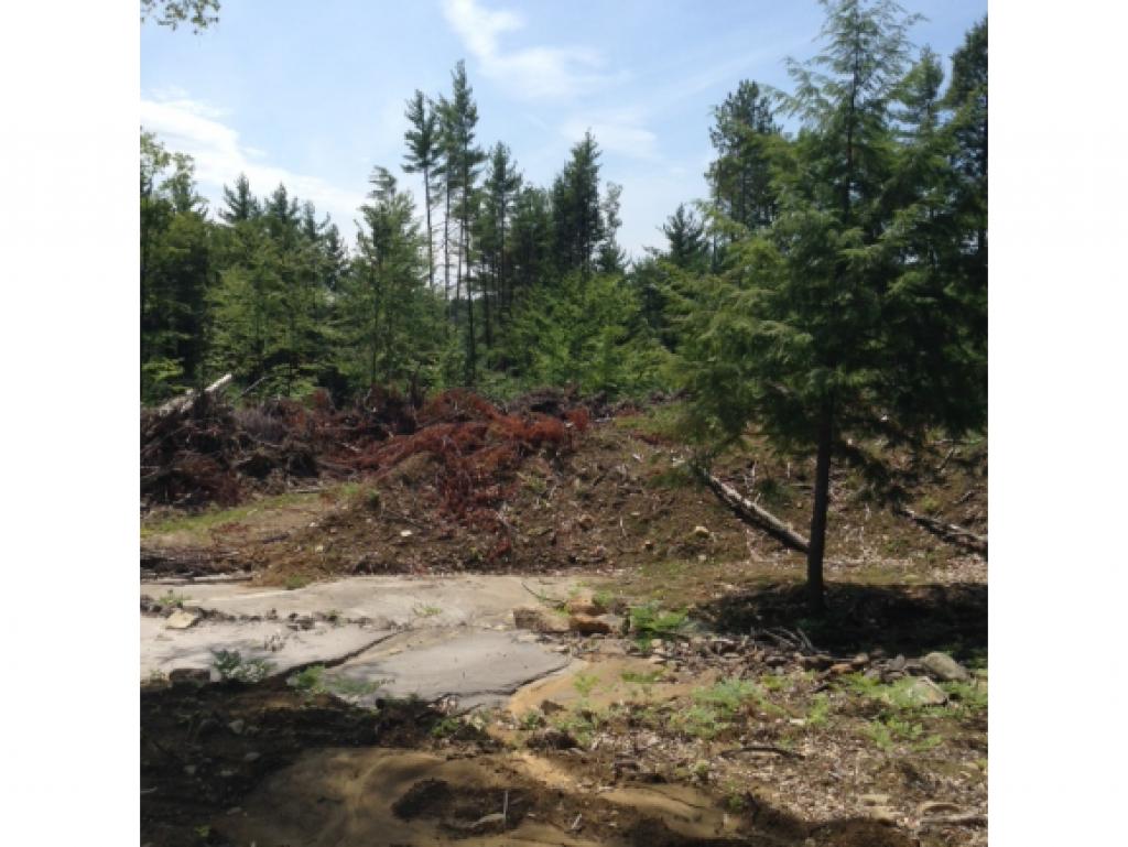 408-157.2 Brown Ridge Road Hillsborough, NH 03244 - Photo 6 of 18