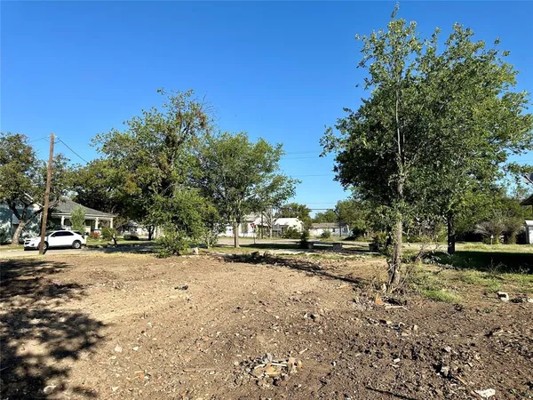 a view of dirt yard with a large tree