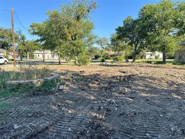 a view of a yard with a tree