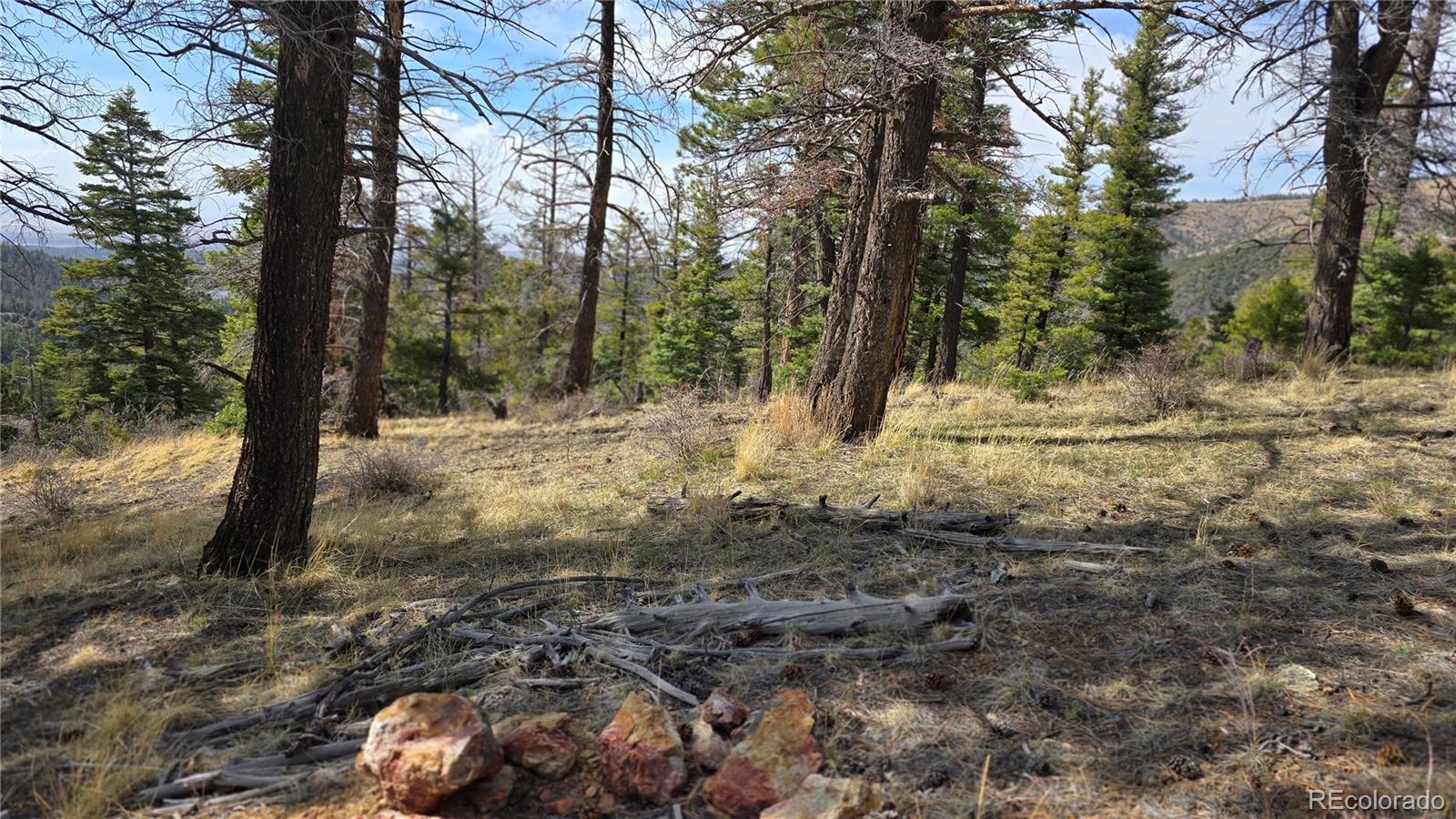 Lot 6070 Vreeland Road San Luis, CO 81152 - Photo 16 of 25 a view of a yard with lots of trees