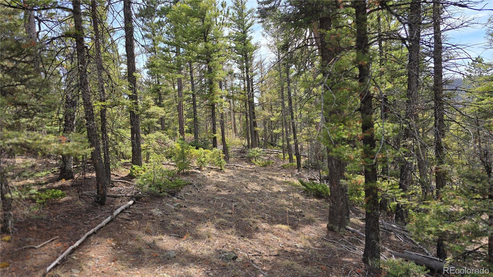 Lot 6070 Vreeland Road San Luis, CO 81152 - Photo 2 of 25 a view of outdoor space and trees