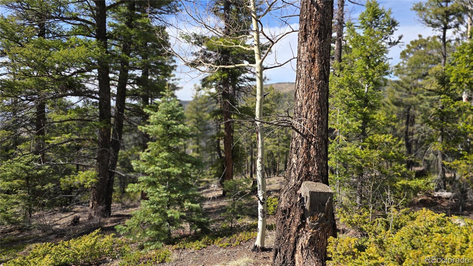 Lot 6070 Vreeland Road San Luis, CO 81152 - Photo 23 of 25