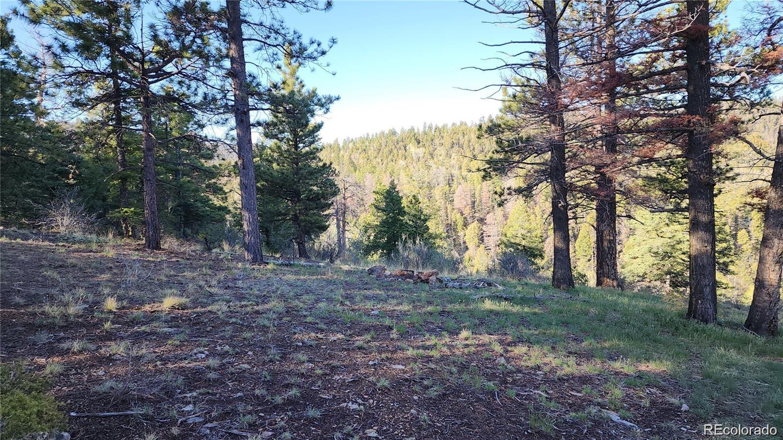 Lot 6070 Vreeland Road San Luis, CO 81152 - Photo 6 of 25 a view of a forest with trees in the background