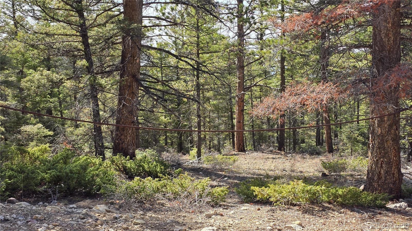 Lot 6070 Vreeland Road San Luis, CO 81152 - Photo 7 of 25 a view of outdoor space and yard