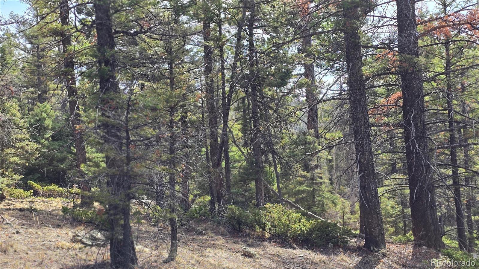 Lot 6070 Vreeland Road San Luis, CO 81152 - Photo 8 of 25
