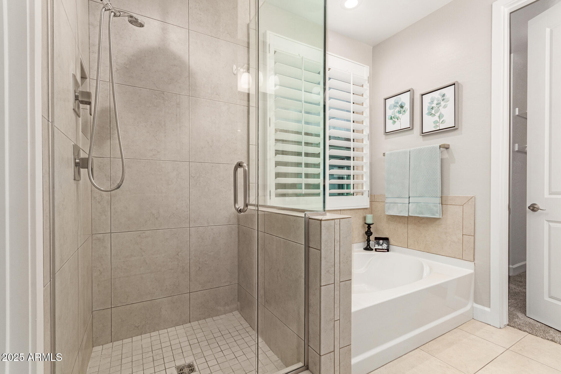 4312 East Rawhide Street Gilbert, AZ 85296 - Photo 14 of 24 a bathroom with a bathtub and shower