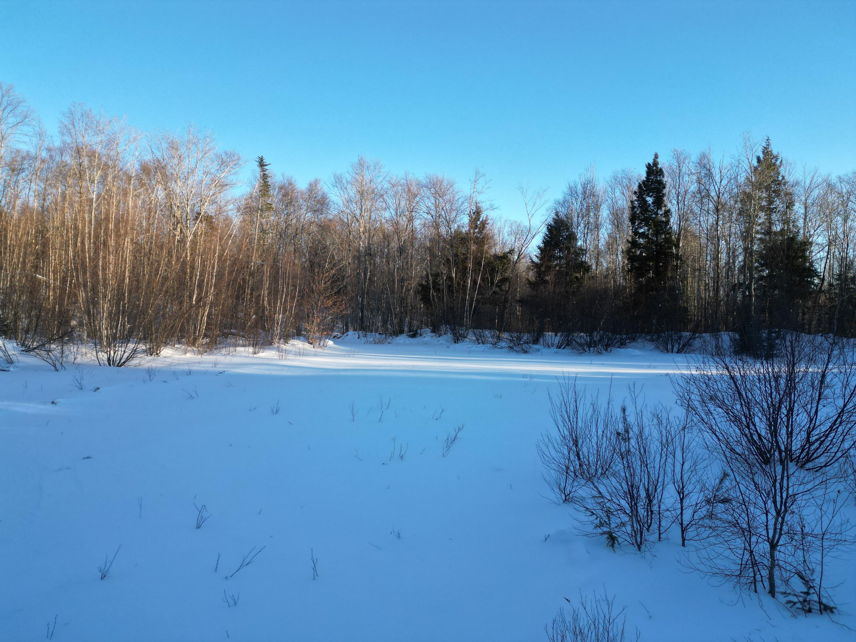 Lot 2 North Danforth Road Carroll Plt, ME 04487 - Photo 1 of 17 DJI_0045