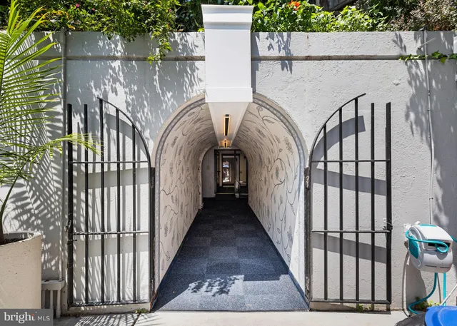 a view of a garden with plants