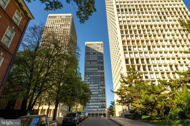 a view of a backyard with plants and a garden