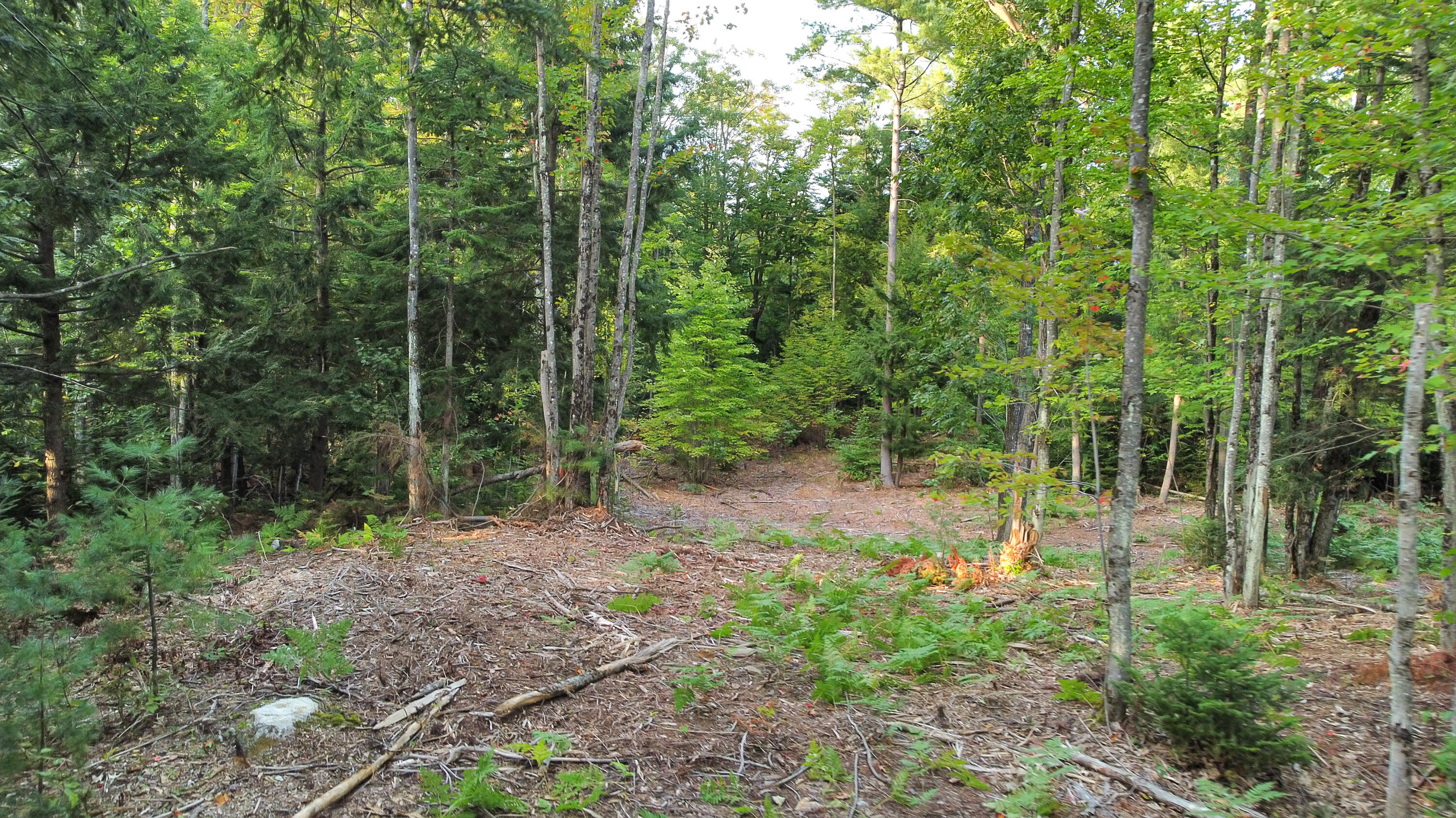 10 Wilderness Way Turner, ME 04282 - Photo 7 of 13 Lot 10-5