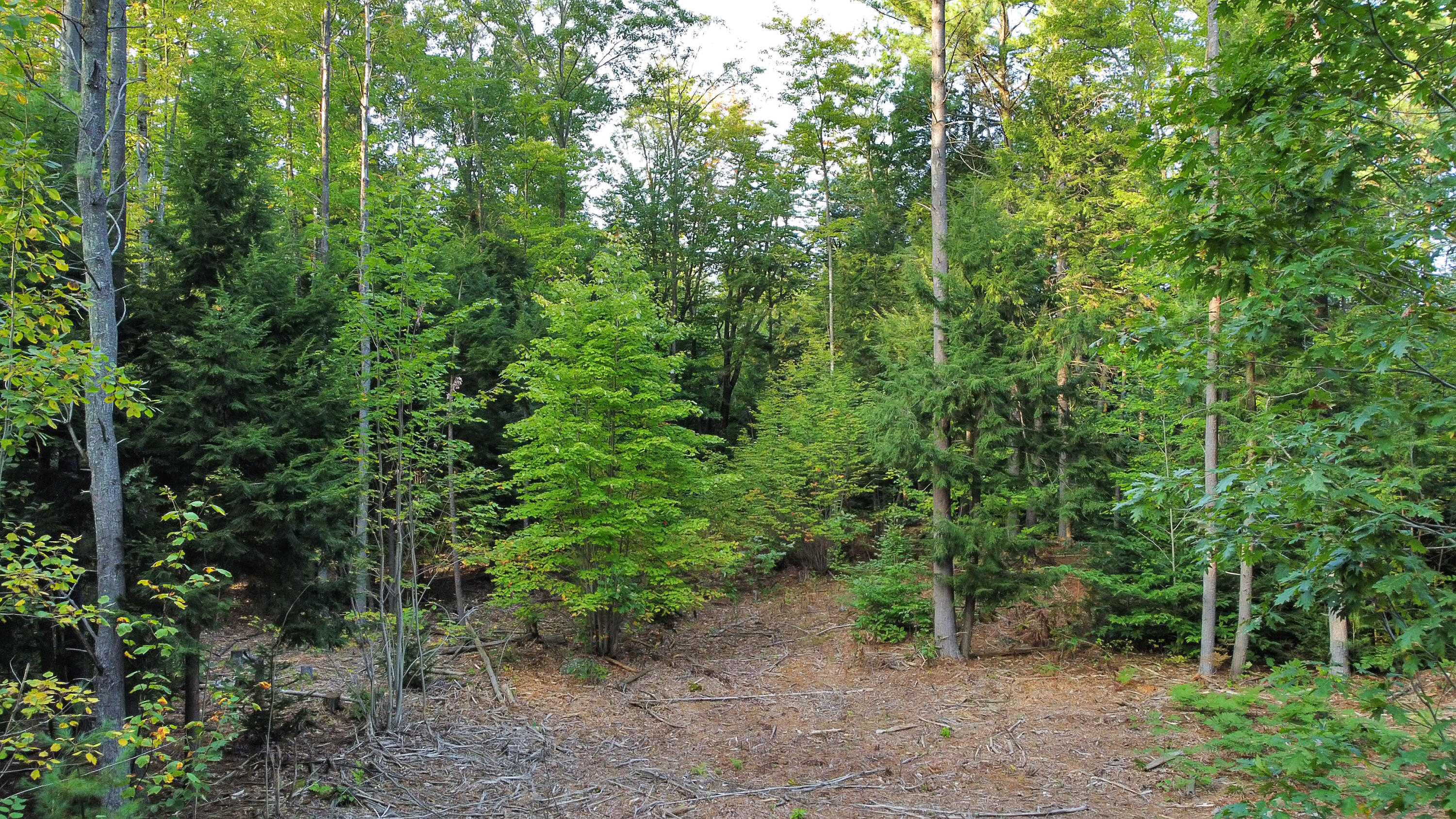 10 Wilderness Way Turner, ME 04282 - Photo 8 of 13 Lot 10-6