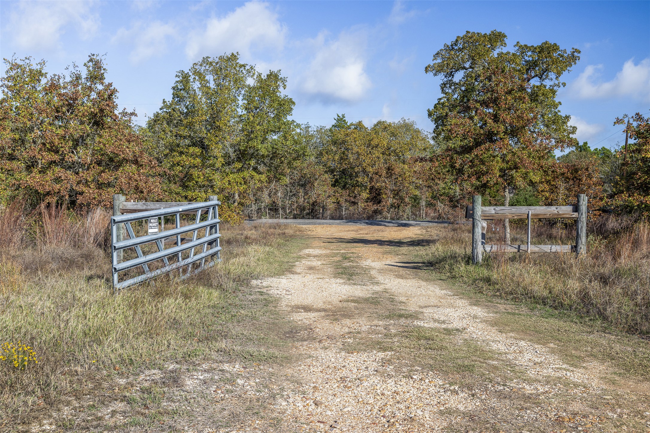 1759 Gotier Trace Road Paige, TX 78659 - Photo 23 of 40 a backyard of a house with lots of green space