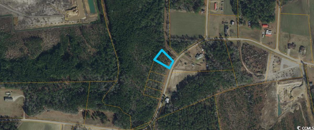 Lot 5 Mcnabb Road Loris, SC 29569 - Photo 1 of 1 Gallery Image 1