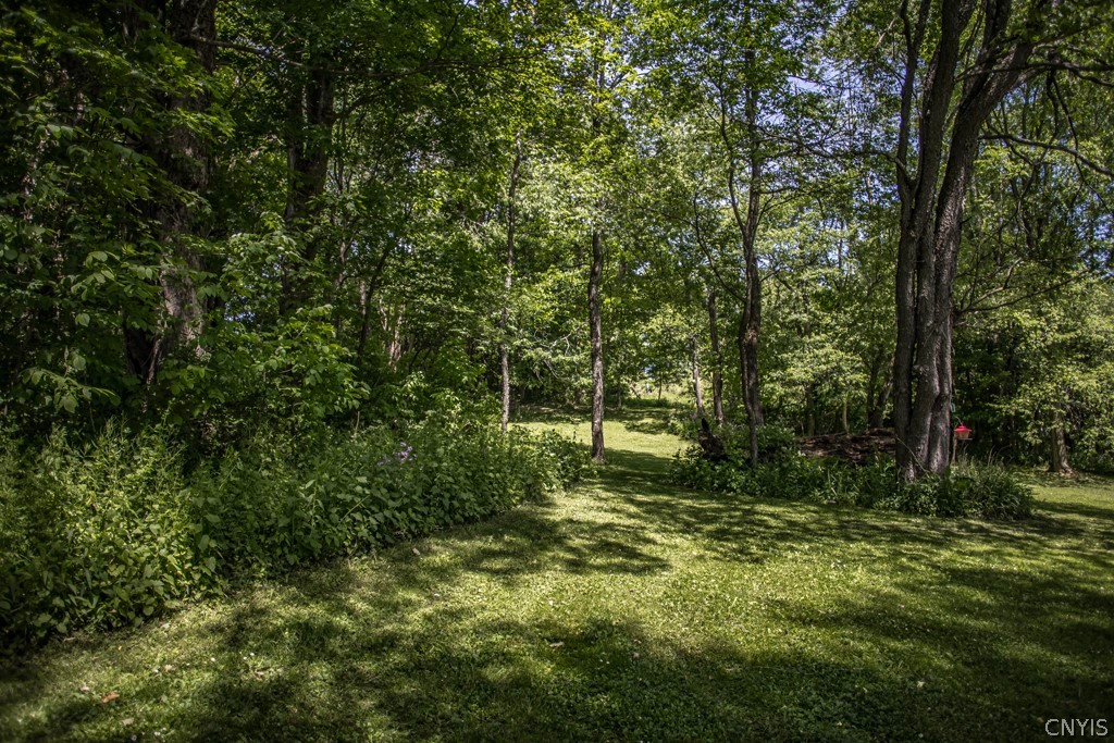 2495 Erieville Road Nelson, NY 13061 - Photo 41 of 50
