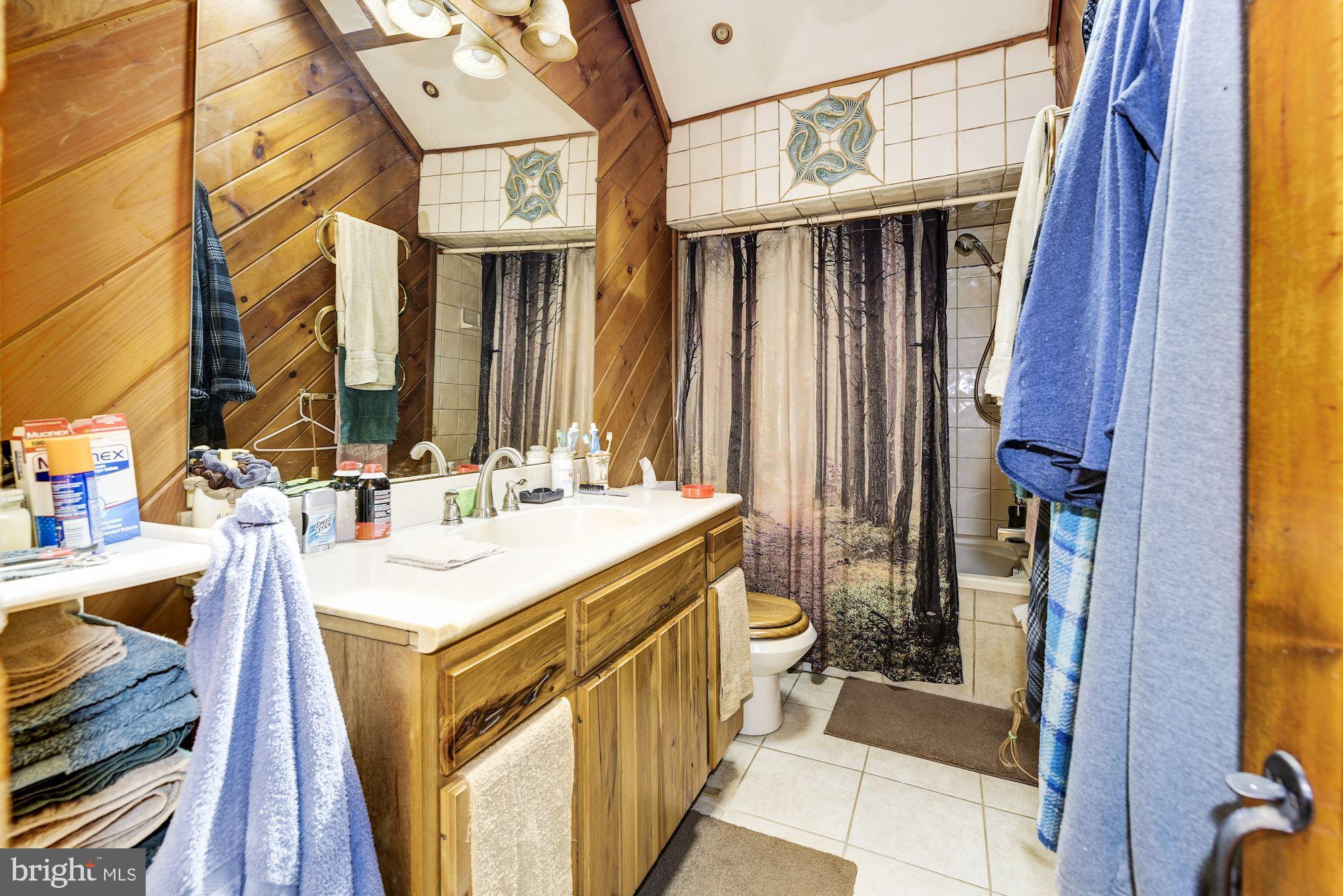 29 Lower Park Road Mount Laurel, NJ 08054 - Photo 10 of 12 Bathroom