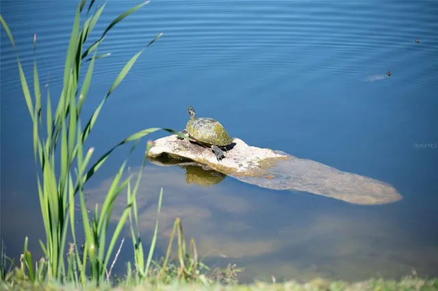 $235,000 | 3715 45th Terrace West, Unit 103, Bradenton, FL 34210