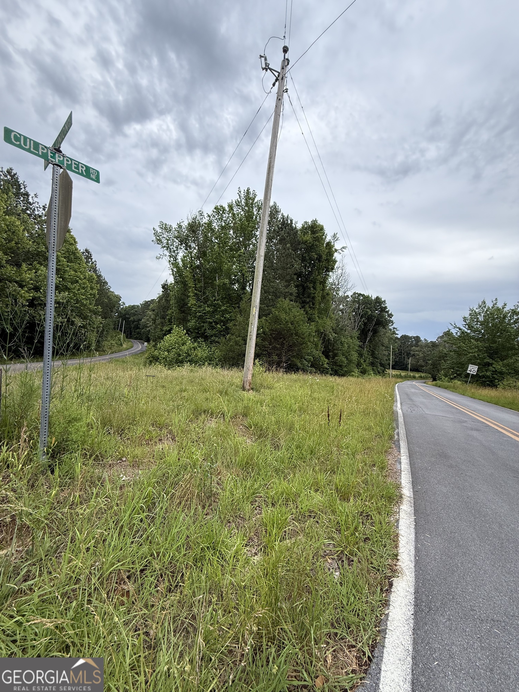 0 Culpepper Road, Unit TRACT 1 & 2 Calhoun, GA 30701 - Photo 4 of 6 a garden view