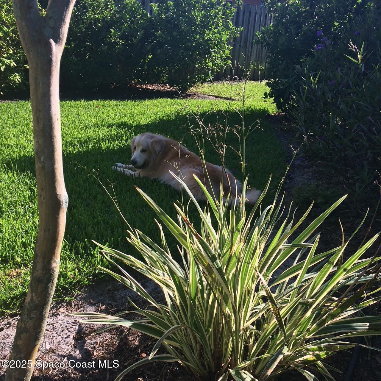 2601 Reed Avenue Melbourne, FL 32901 - Photo 10 of 40 IMG_0566 copy