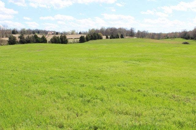 Ac Halltown Road Canmer, KY 42722 - Photo 2 of 5 Gallery Image 2