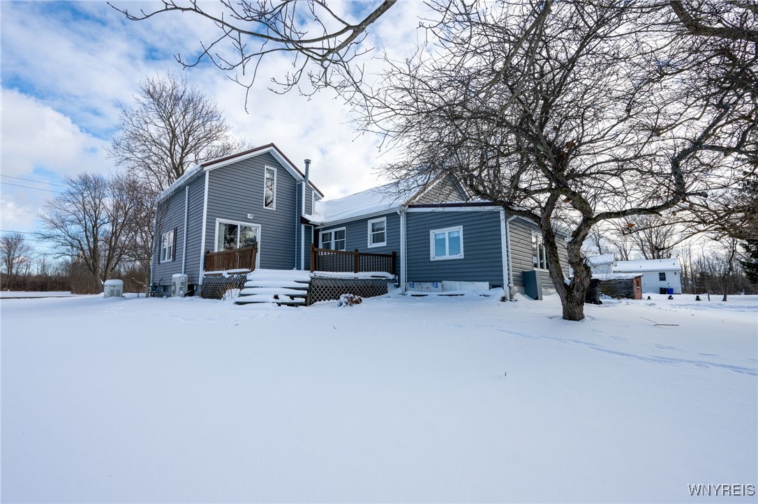 3610 South Newstead Road Alden, NY 14001 - Photo 38 of 49 Back of house