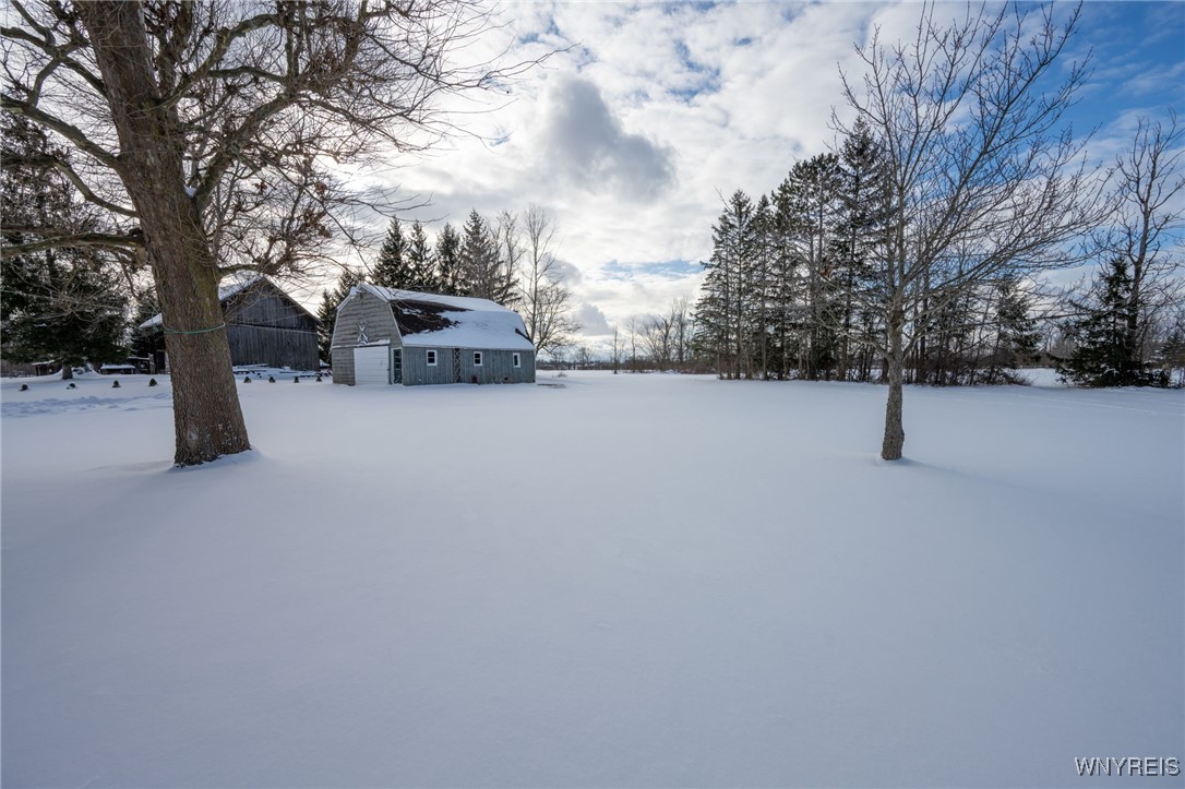 3610 South Newstead Road Alden, NY 14001 - Photo 41 of 49