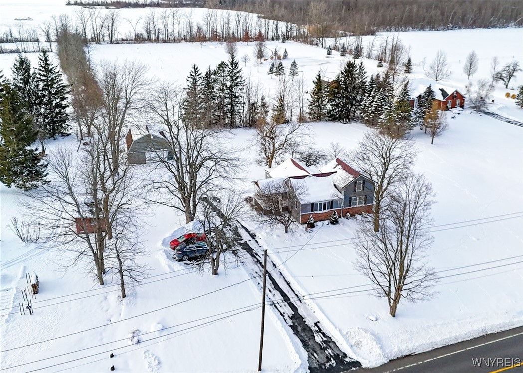 3610 South Newstead Road Alden, NY 14001 - Photo 42 of 49