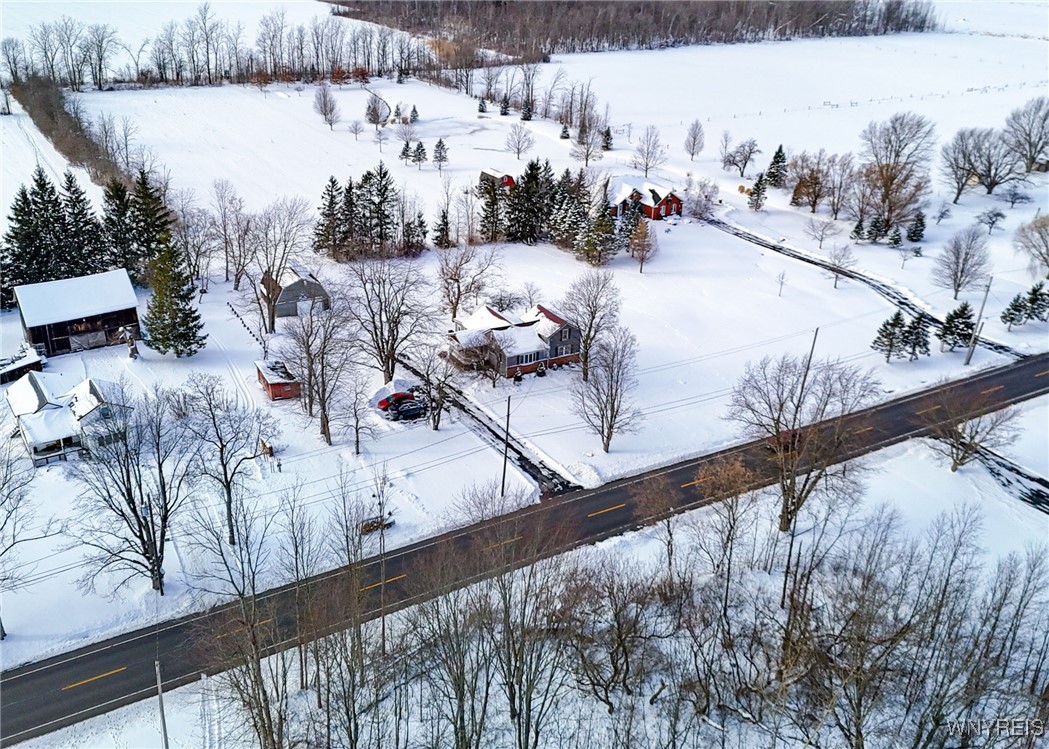 3610 South Newstead Road Alden, NY 14001 - Photo 46 of 49