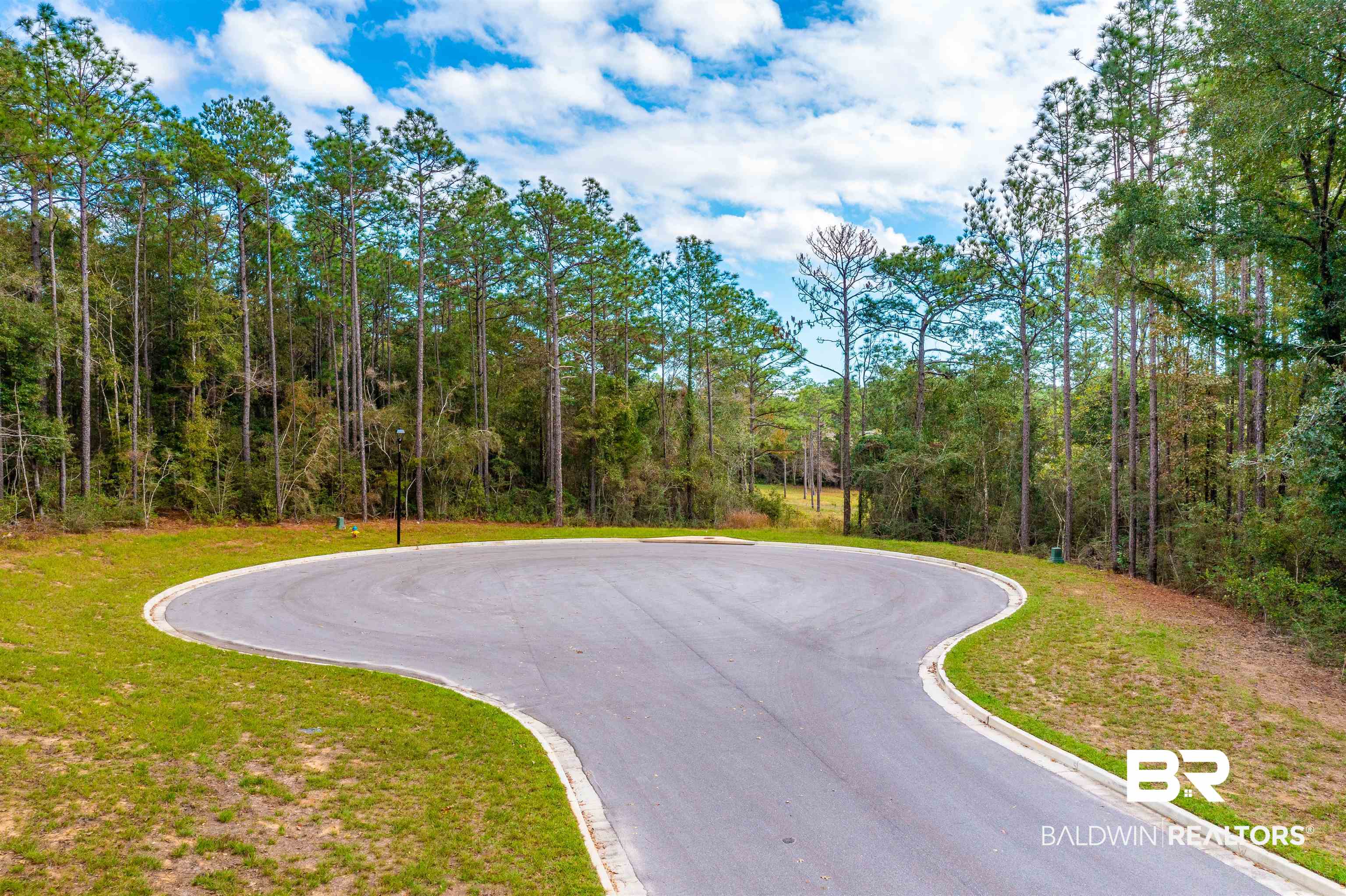 0 Wynngate Way Mobile, AL 36695 - Photo 10 of 21