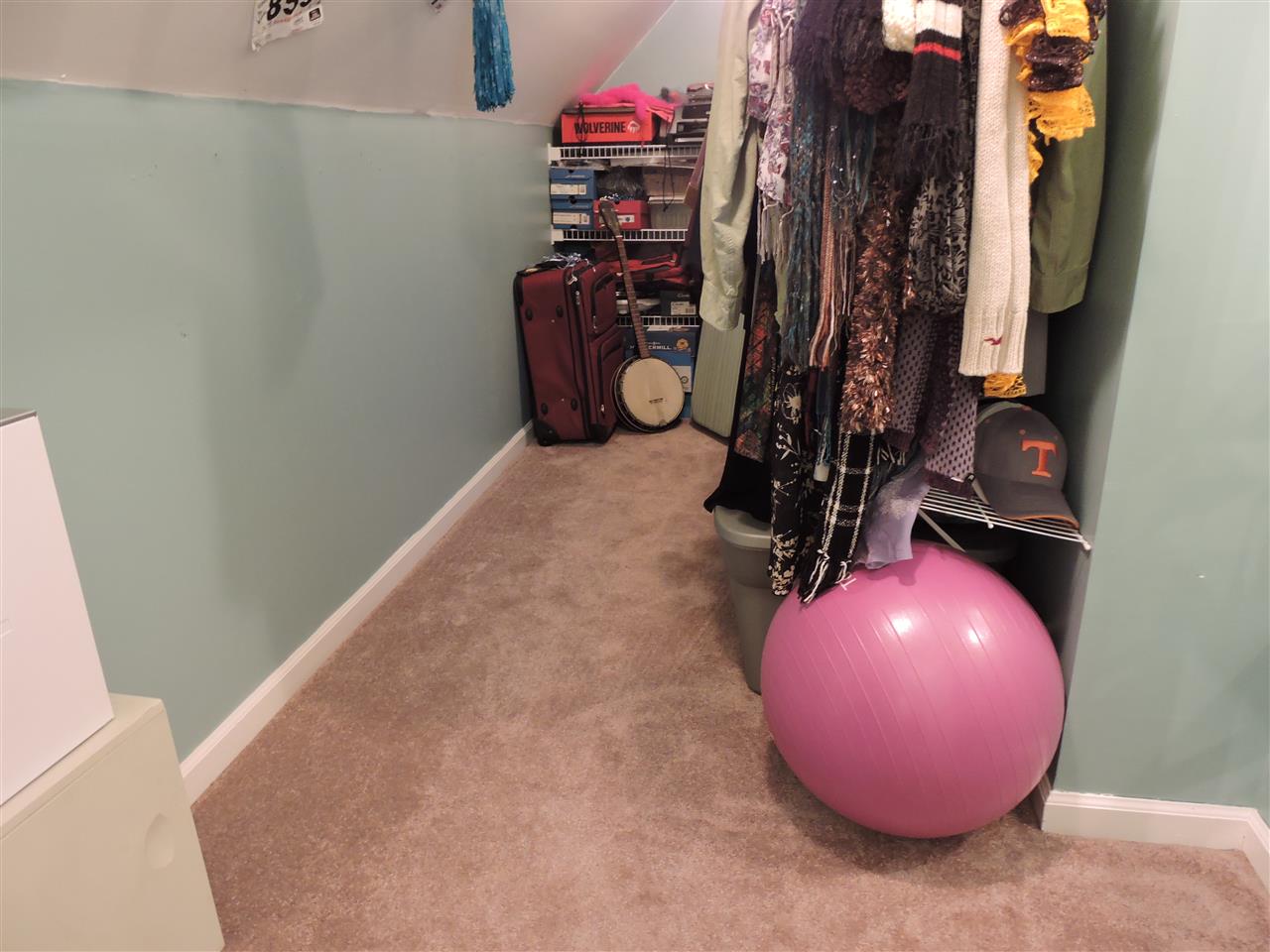 123 Cricket Road Staunton, VA 24401 - Photo 36 of 49 a view of a closet
