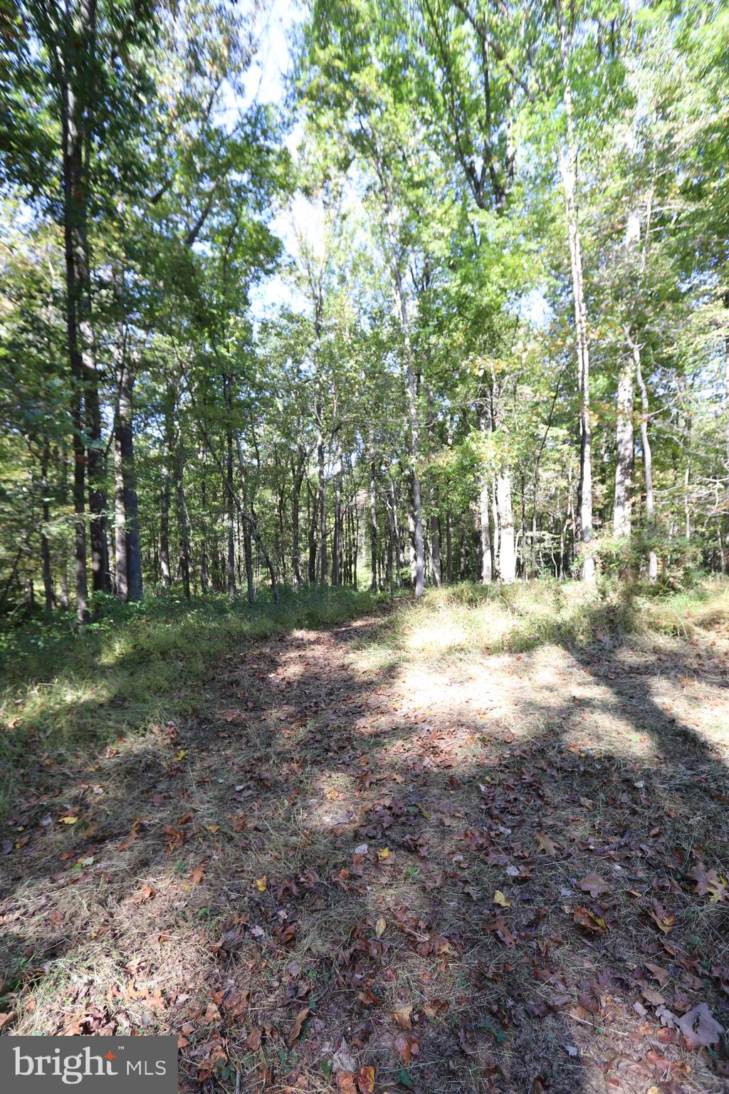 7412 Damascus Road Gaithersburg, MD 20882 - Photo 15 of 52 Path towards park