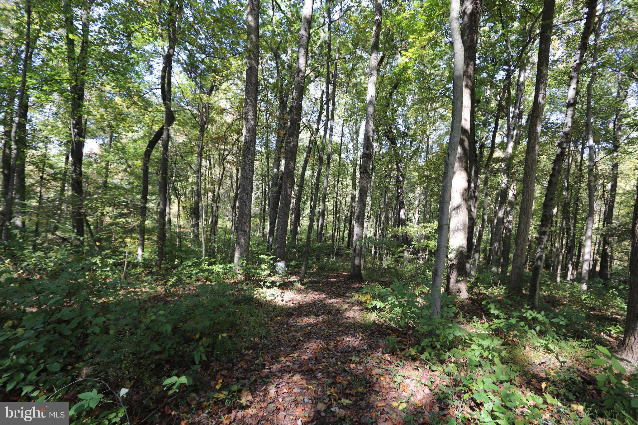 7412 Damascus Road Gaithersburg, MD 20882 - Photo 17 of 52 Path towards park