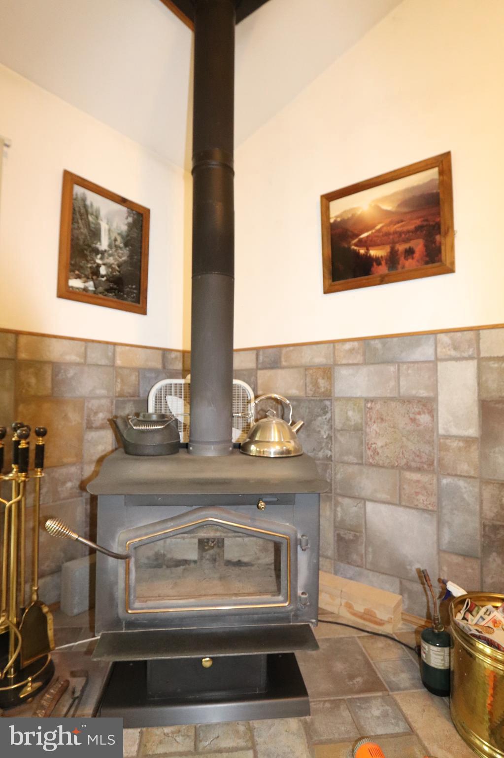 7412 Damascus Road Gaithersburg, MD 20882 - Photo 26 of 52 Wood Burning Stove