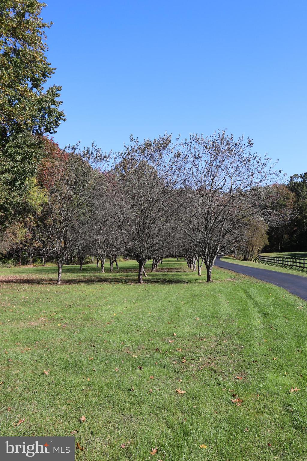 7412 Damascus Road Gaithersburg, MD 20882 - Photo 7 of 52 Orchard Area