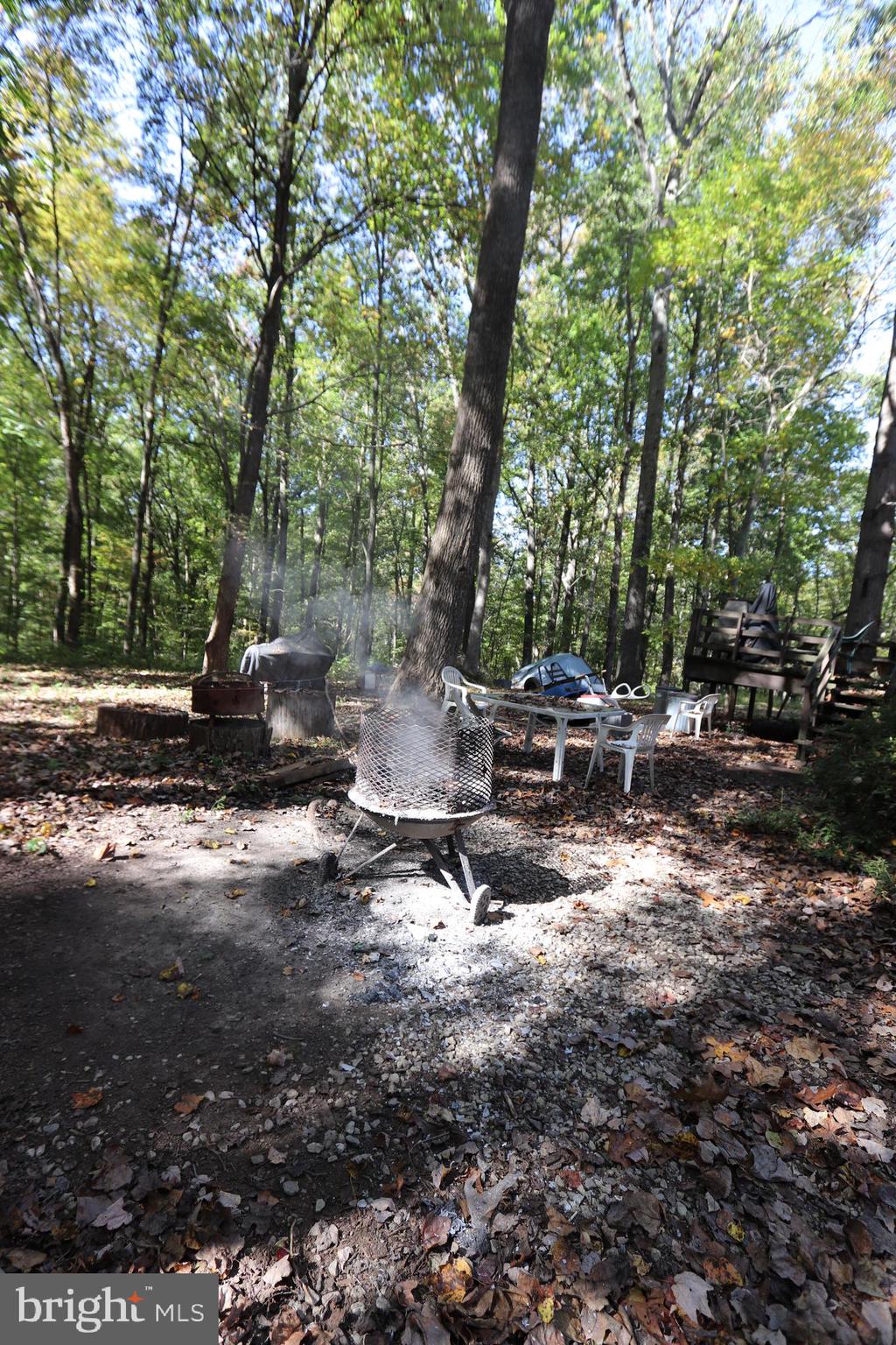 7412 Damascus Road Gaithersburg, MD 20882 - Photo 10 of 52 Burn Pit