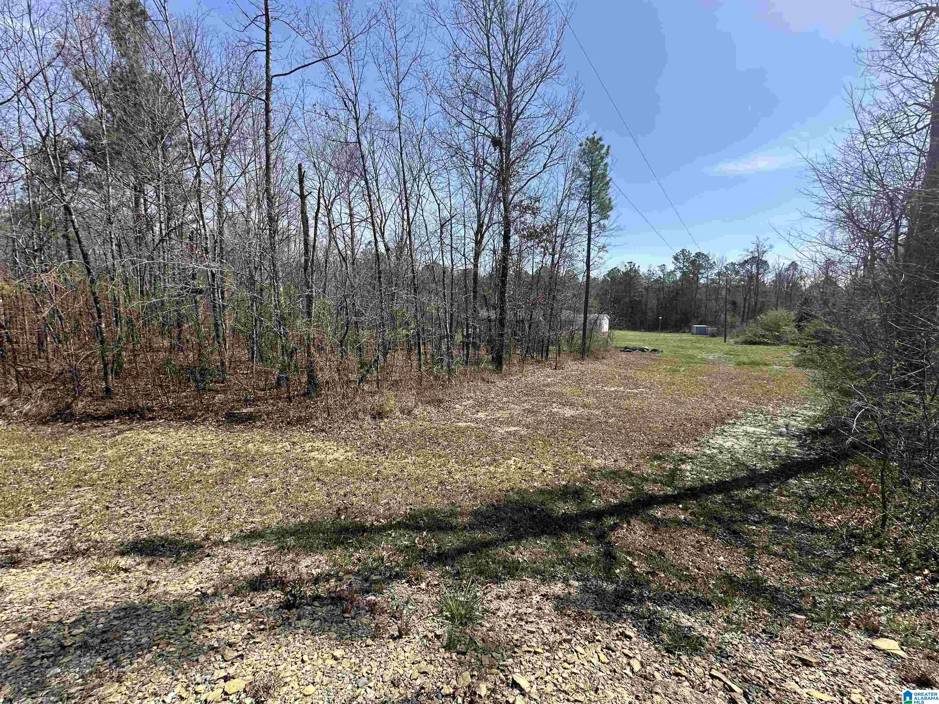 2560 Slasham Road Ashville, AL 35953 - Photo 64 of 77