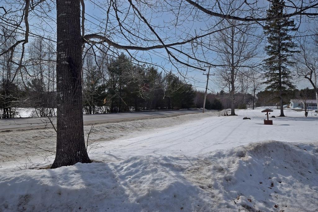 28 North Chester Road Chester, ME 04457 - Photo 18 of 18 Front yard