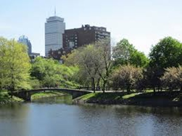 405 Marlborough Street, Unit 41 Boston, MA 02115 - Photo 29 of 32 a view of a building with river and outdoor space