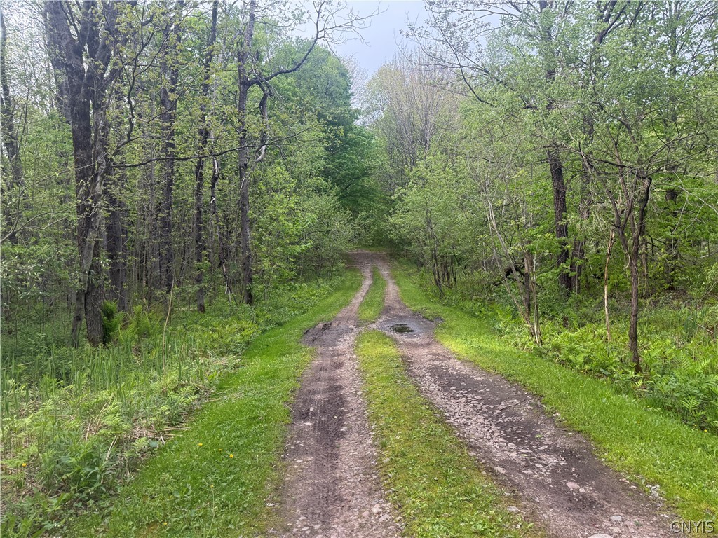 Lot #9 Lost Ridge Road, Unit 9 Camden, NY 13316 - Photo 6 of 27