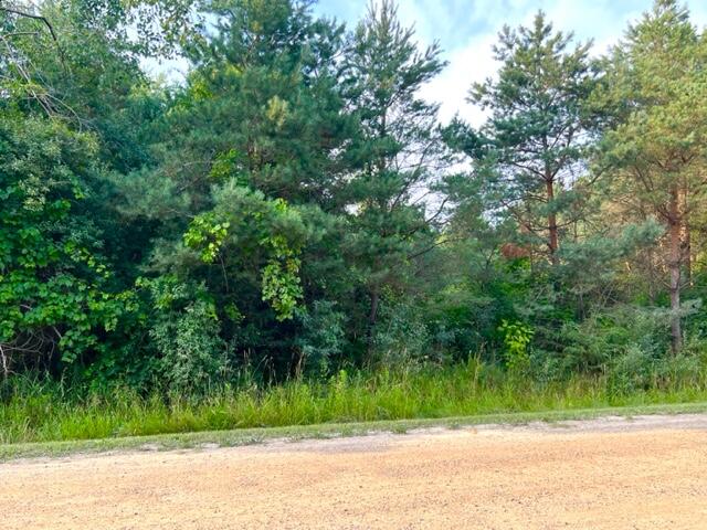 0 East Bard Road, Unit PARCEL B Muskegon, MI 49445 - Photo 3 of 6 IMG_4098