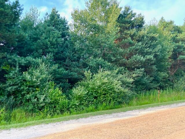 0 East Bard Road, Unit PARCEL B Muskegon, MI 49445 - Photo 5 of 6 IMG_4099
