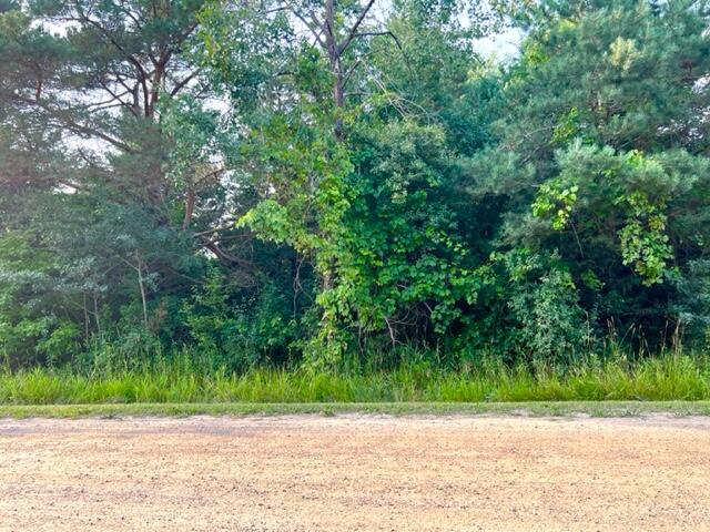 0 East Bard Road, Unit PARCEL B Muskegon, MI 49445 - Photo 6 of 6 IMG_4097