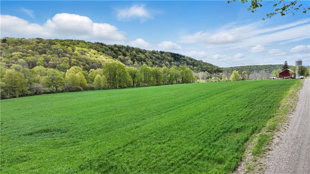 964 Oldmill Road Berlin, PA 15530 - Photo 2 of 28 Gallery Image 2