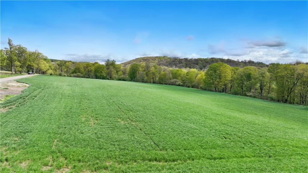 964 Oldmill Road Berlin, PA 15530 - Photo 4 of 28 Gallery Image 4