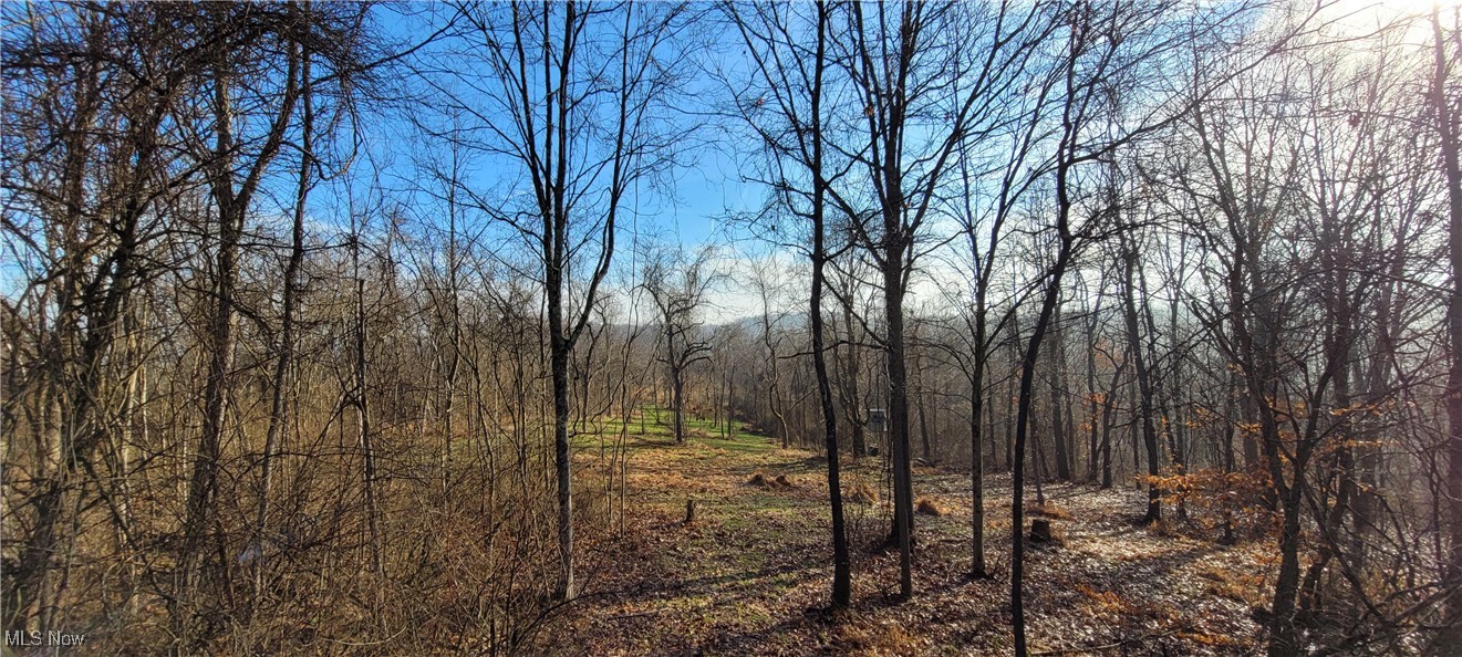399 Township Road Coshocton, OH 43812 - Photo 26 of 50