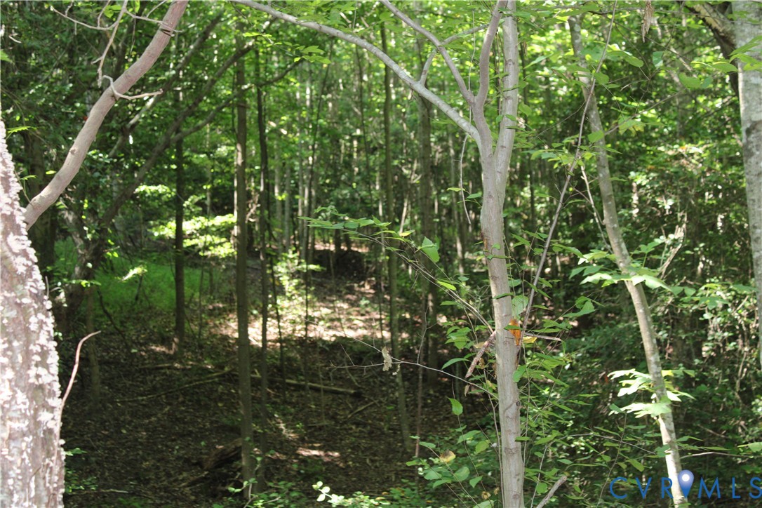6221 Sturgeon Point Road Providence Forge, VA 23140 - Photo 23 of 26 Wooded dry creek