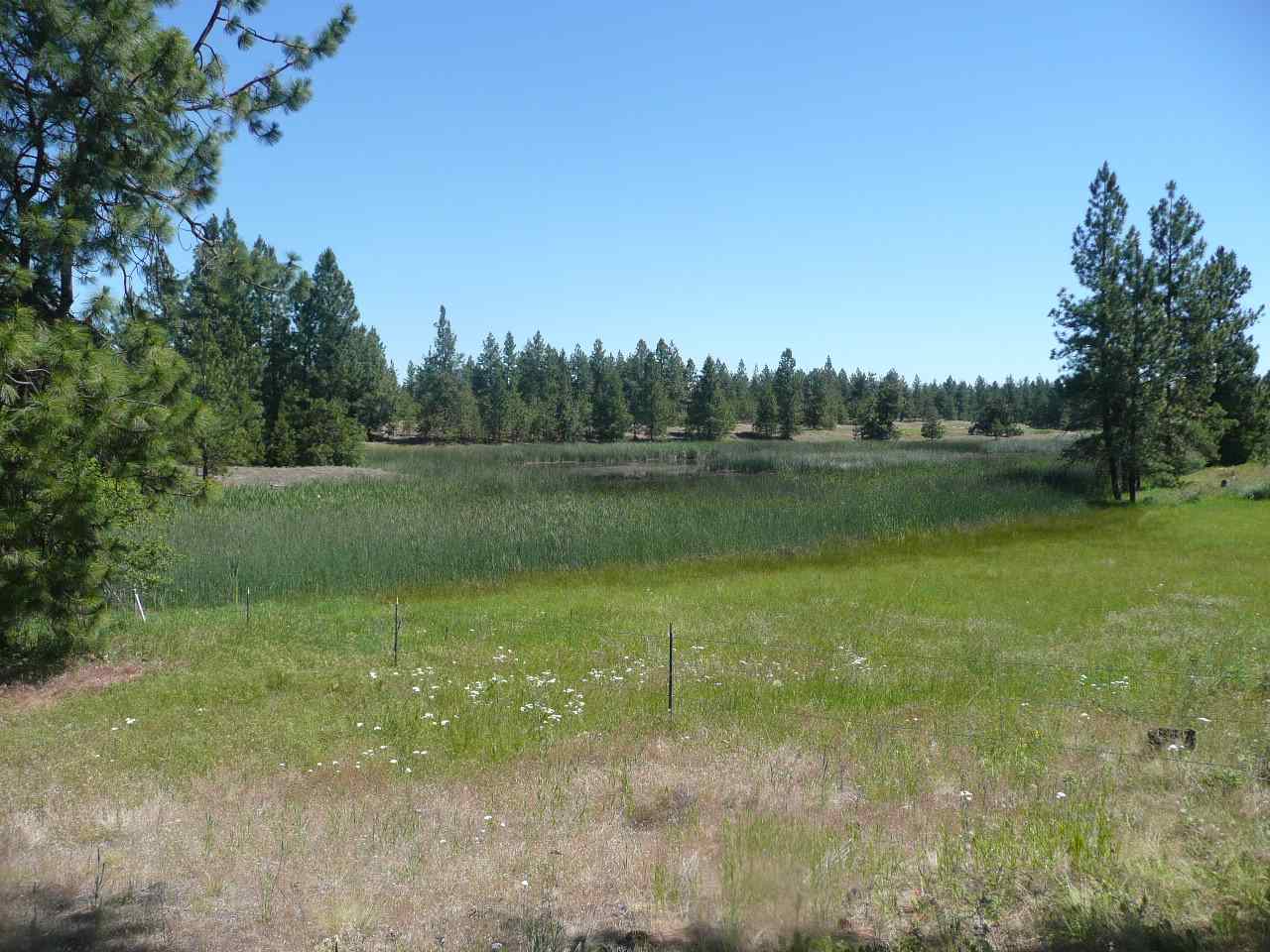 28920 South Boston Road Cheney, WA 99004 - Photo 14 of 17