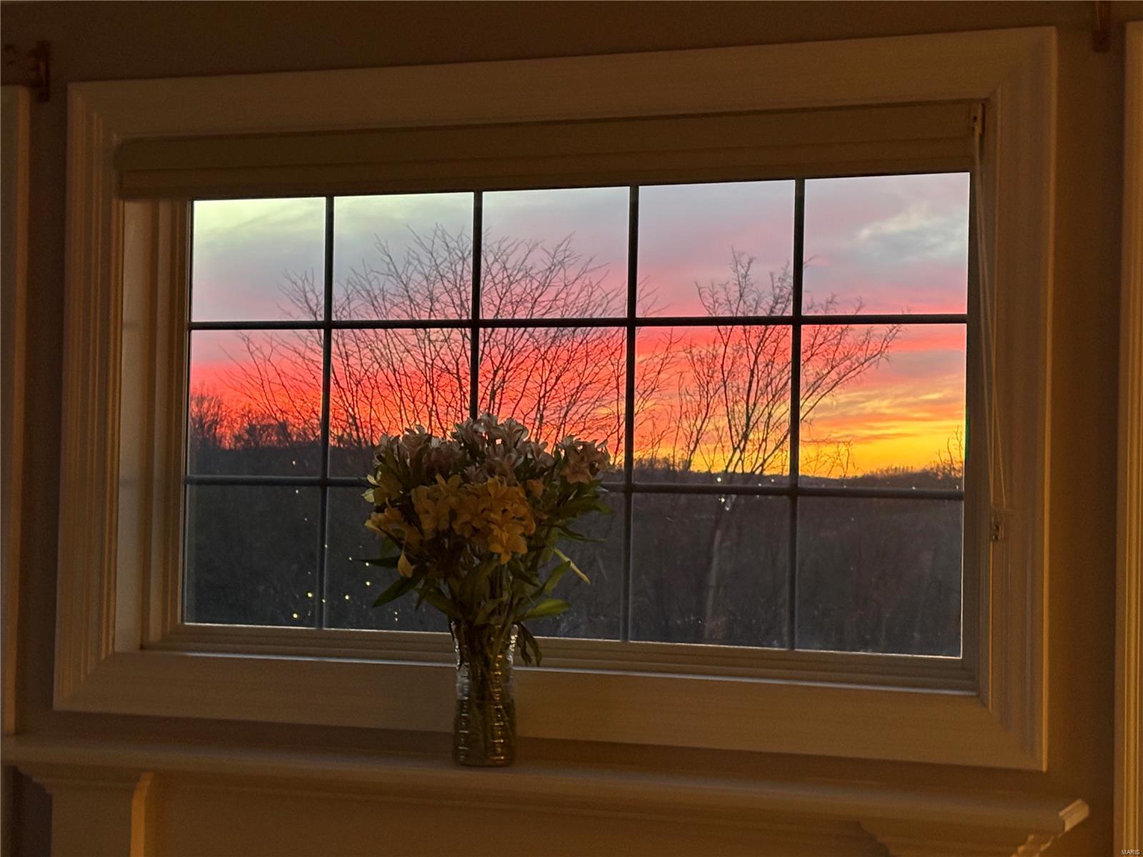 631 Winter View Circle Fenton, MO 63026 - Photo 13 of 67