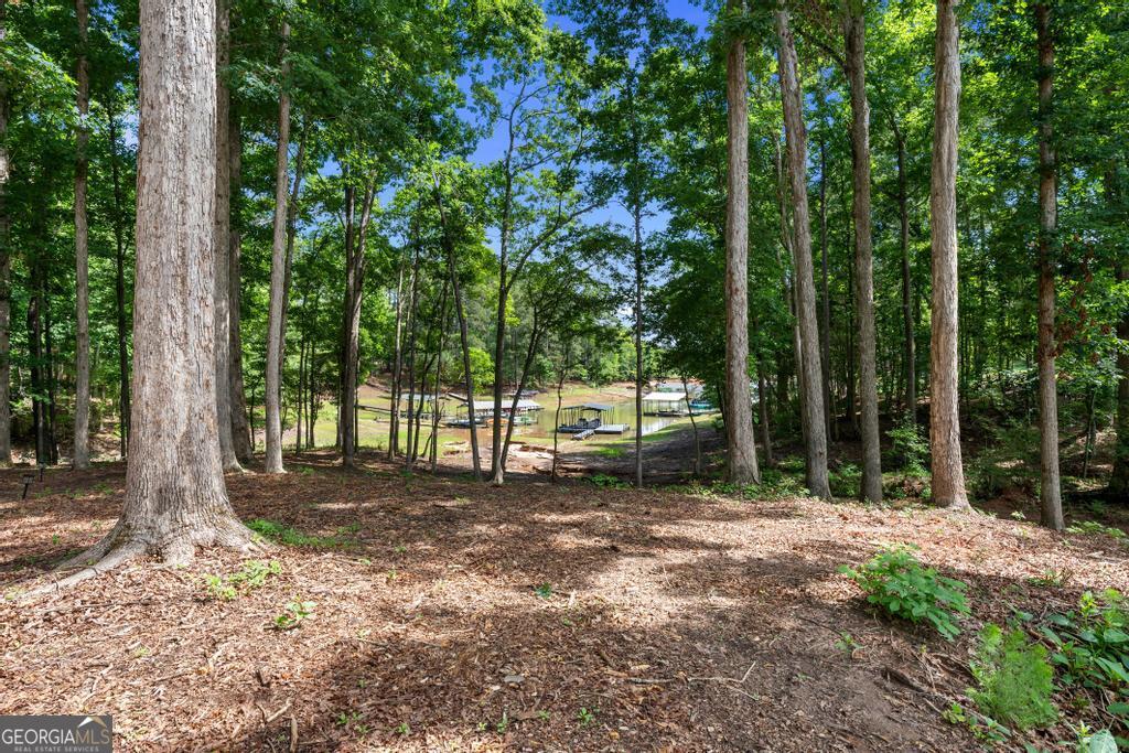 183 Lake Pointe Road Hartwell, GA 30643 - Photo 65 of 78