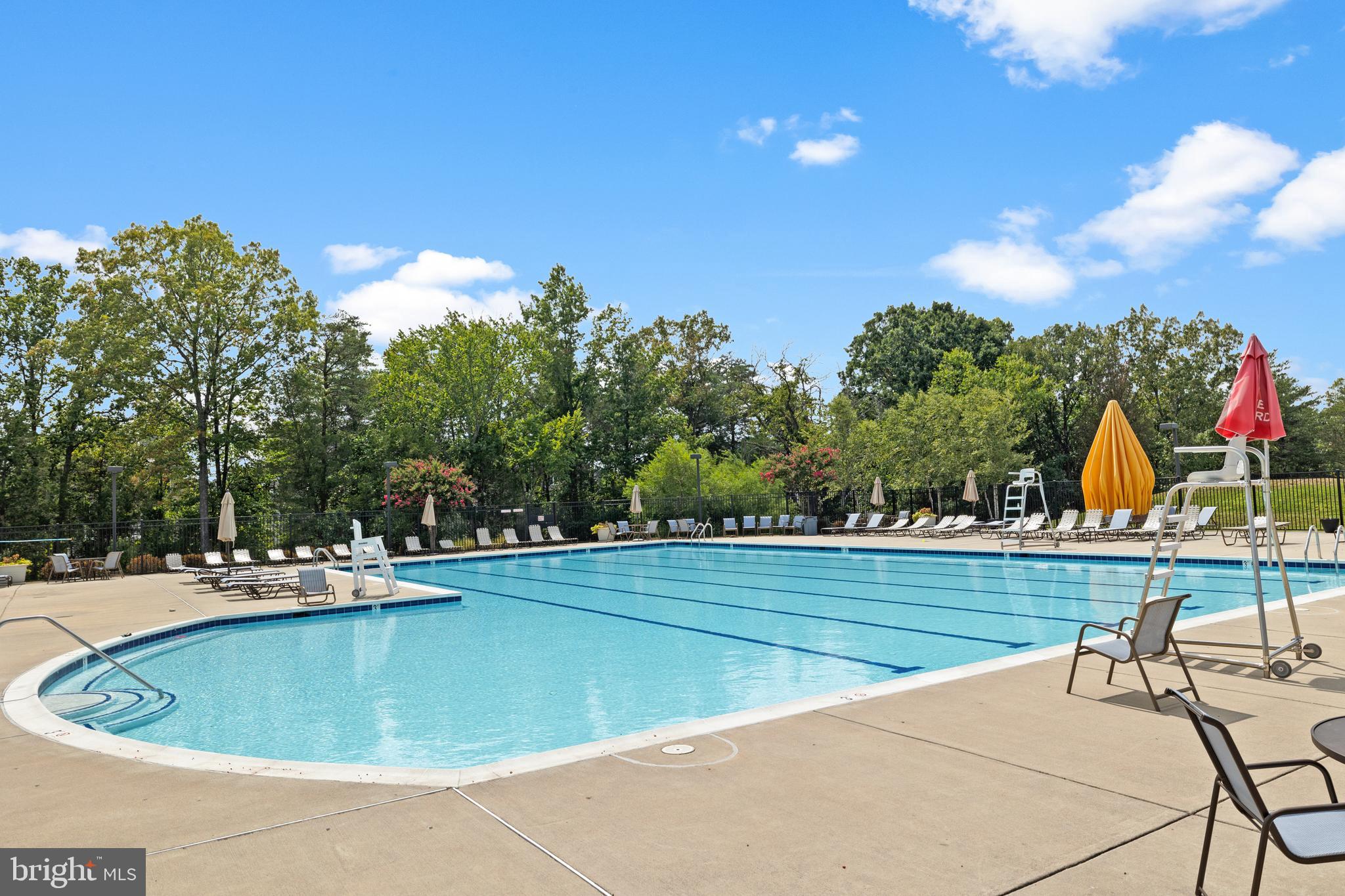 13635 Rockingham Lane Gainesville, VA 20155 - Photo 49 of 56 a view of a swimming pool with a yard and plants